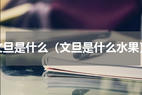 文旦是什么（文旦是什么水果）