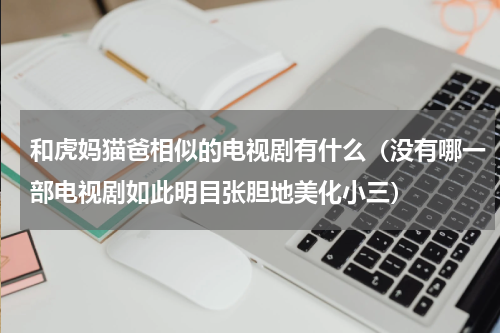 和虎妈猫爸相似的电视剧有什么（没有哪一部电视剧如此明目张胆地美化小三）