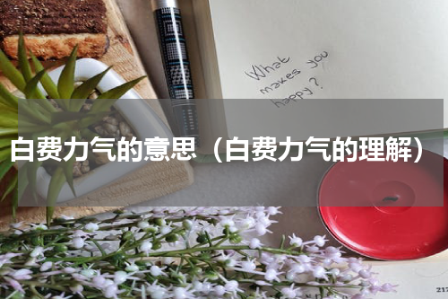 白费力气的意思（白费力气的理解）