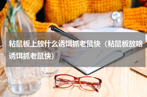 粘鼠板上放什么诱饵抓老鼠快（粘鼠板放啥诱饵抓老鼠快）