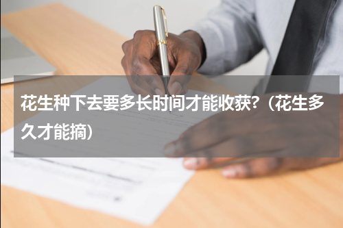花生种下去要多长时间才能收获?（花生多久才能摘）
