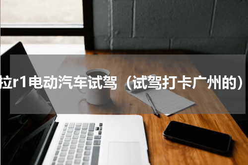 欧拉r1电动汽车试驾（试驾打卡广州的）