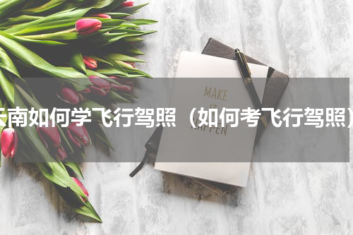 云南如何学飞行驾照（如何考飞行驾照）