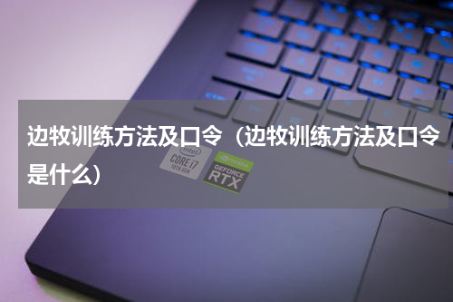 边牧训练方法及口令（边牧训练方法及口令是什么）