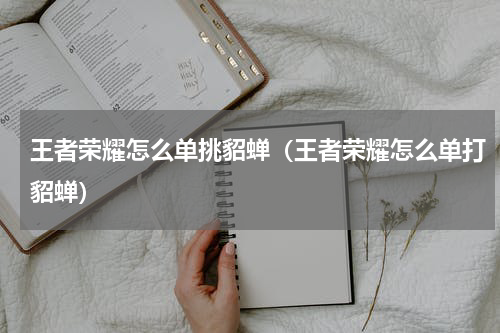王者荣耀怎么单挑貂蝉（王者荣耀怎么单打貂蝉）