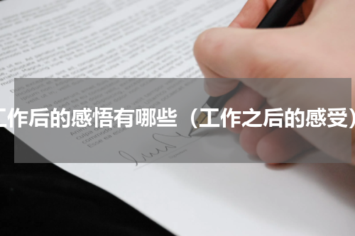 工作后的感悟有哪些（工作之后的感受）