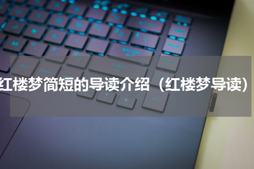 红楼梦简短的导读介绍（红楼梦导读）