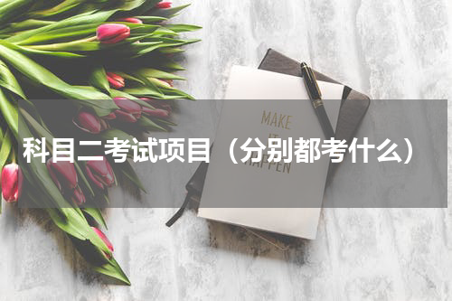 科目二考试项目（分别都考什么）