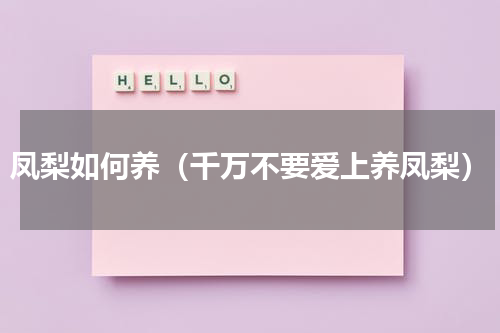 凤梨如何养（千万不要爱上养凤梨）