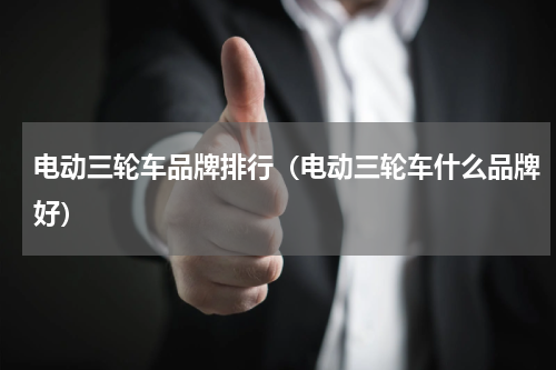 电动三轮车品牌排行（电动三轮车什么品牌好）