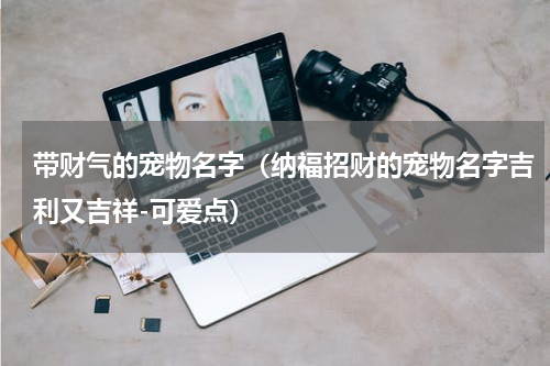 带财气的宠物名字（纳福招财的宠物名字吉利又吉祥-可爱点）