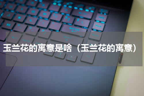 玉兰花的寓意是啥（玉兰花的寓意）