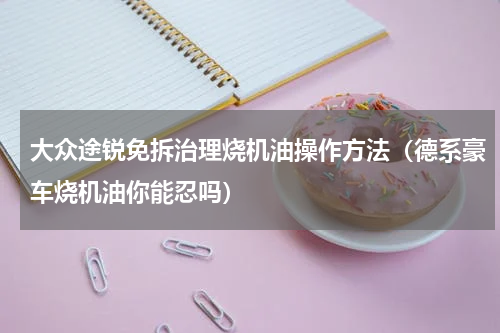 大众途锐免拆治理烧机油操作方法（德系豪车烧机油你能忍吗）
