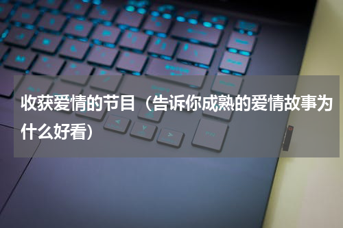 收获爱情的节目（告诉你成熟的爱情故事为什么好看）