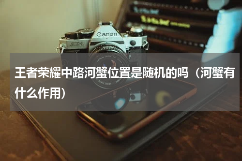 王者荣耀中路河蟹位置是随机的吗（河蟹有什么作用）
