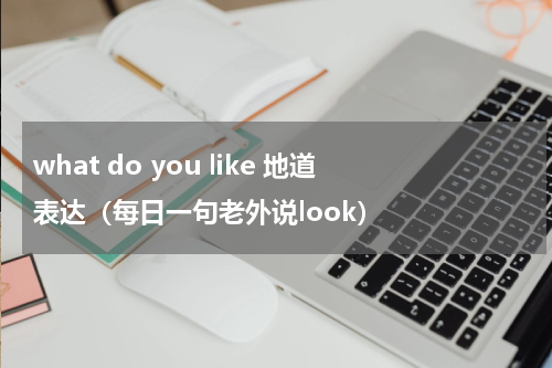 what do you like 地道表达（每日一句老外说look）