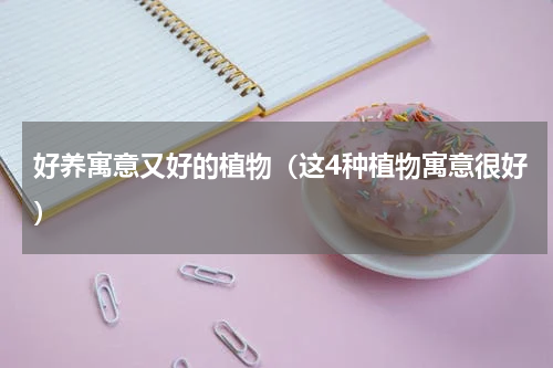 好养寓意又好的植物（这4种植物寓意很好）