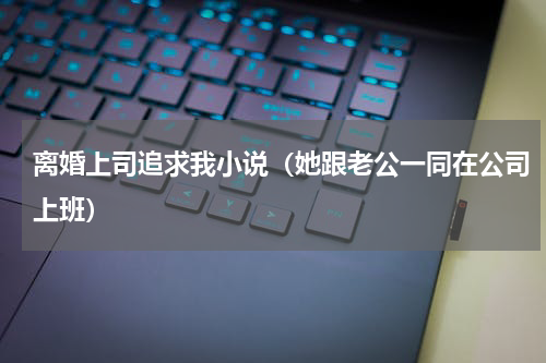 离婚上司追求我小说（她跟老公一同在公司上班）