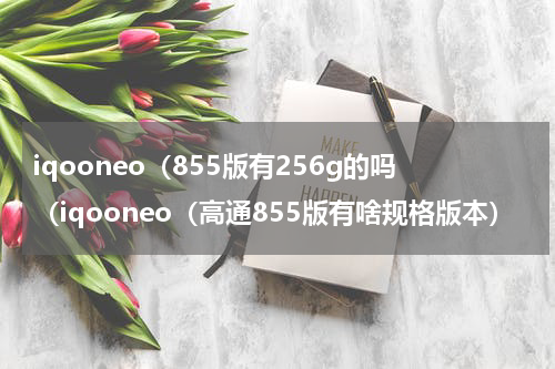 iqooneo（855版有256g的吗（iqooneo（高通855版有啥规格版本）