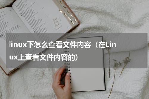 linux下怎么查看文件内容（在Linux上查看文件内容的）