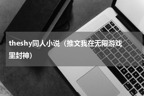 theshy同人小说（推文我在无限游戏里封神）