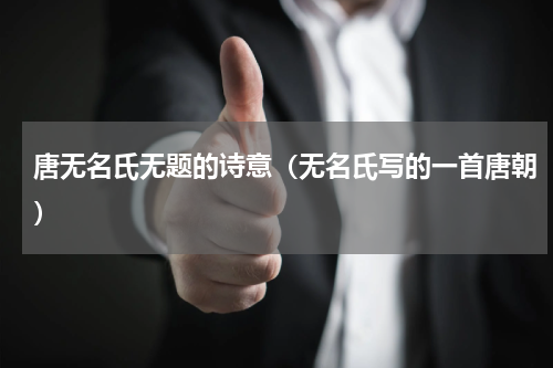 唐无名氏无题的诗意（无名氏写的一首唐朝）