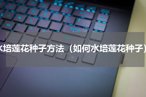 水培莲花种子方法（如何水培莲花种子）