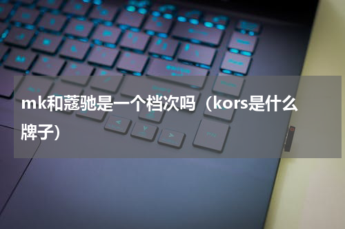 mk和蔻驰是一个档次吗（kors是什么牌子）