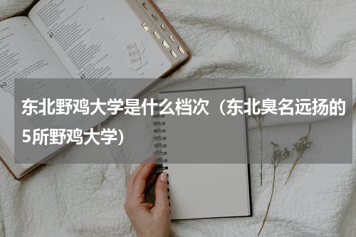 东北野鸡大学是什么档次（东北臭名远扬的5所野鸡大学）