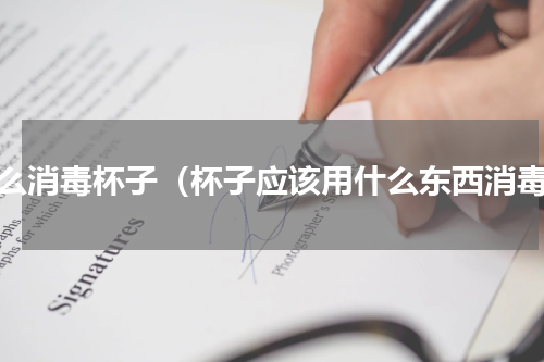 怎么消毒杯子（杯子应该用什么东西消毒）