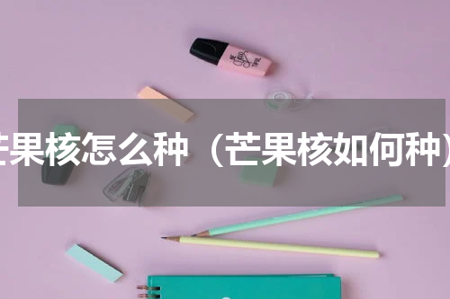 芒果核怎么种（芒果核如何种）