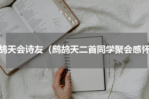 鹧鸪天会诗友（鹧鸪天二首同学聚会感怀）