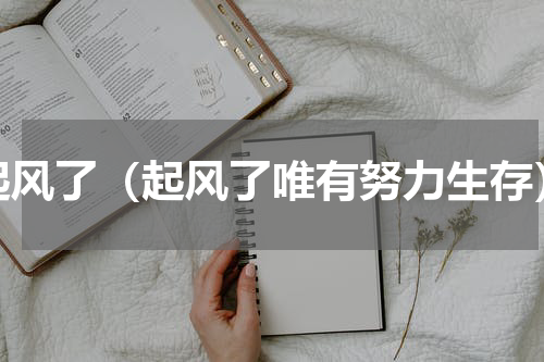 起风了（起风了唯有努力生存）