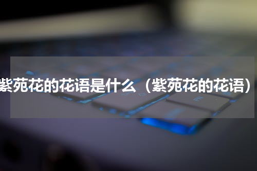 紫苑花的花语是什么（紫苑花的花语）