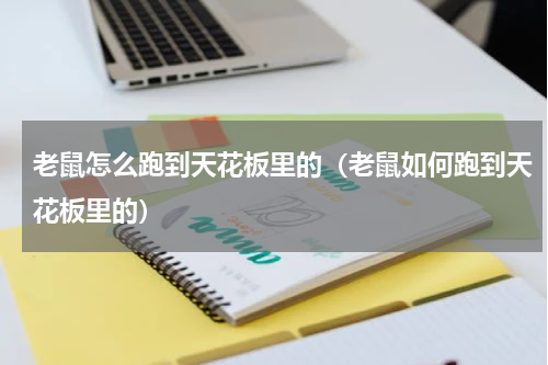 老鼠怎么跑到天花板里的（老鼠如何跑到天花板里的）