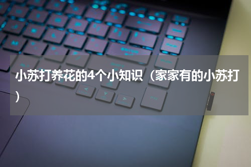 小苏打养花的4个小知识（家家有的小苏打）