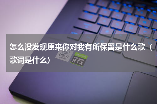 怎么没发现原来你对我有所保留是什么歌（歌词是什么）