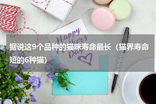 据说这9个品种的猫咪寿命最长（猫界寿命短的6种猫）