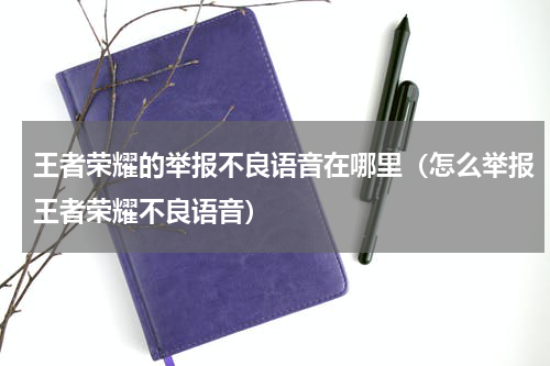 王者荣耀的举报不良语音在哪里（怎么举报王者荣耀不良语音）