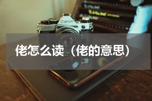 佬怎么读（佬的意思）