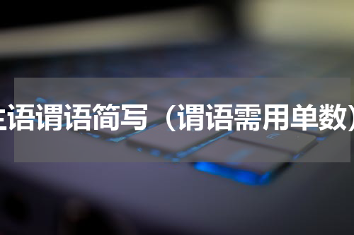 主语谓语简写（谓语需用单数）