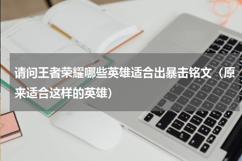 请问王者荣耀哪些英雄适合出暴击铭文（原来适合这样的英雄）
