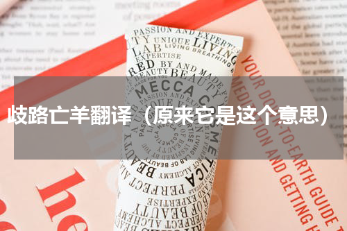 歧路亡羊翻译（原来它是这个意思）