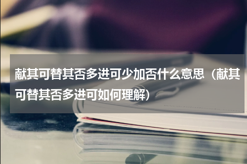 献其可替其否多进可少加否什么意思（献其可替其否多进可如何理解）