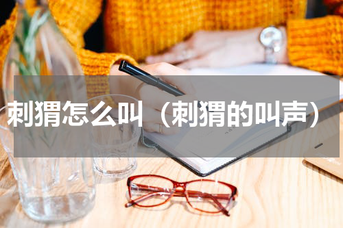 刺猬怎么叫（刺猬的叫声）