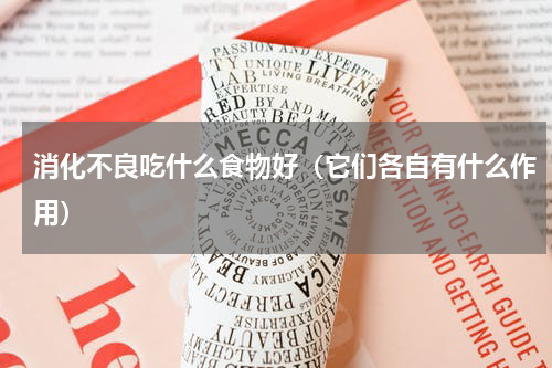 消化不良吃什么食物好（它们各自有什么作用）