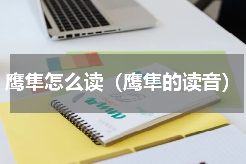 鹰隼怎么读（鹰隼的读音）