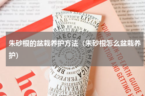 朱砂根的盆栽养护方法（朱砂根怎么盆栽养护）