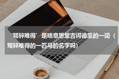 ‘驽骍难得’是啥意思堂吉诃德里的一词（驽骍难得的一匹马的名字吗）