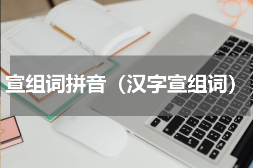宣组词拼音（汉字宣组词）